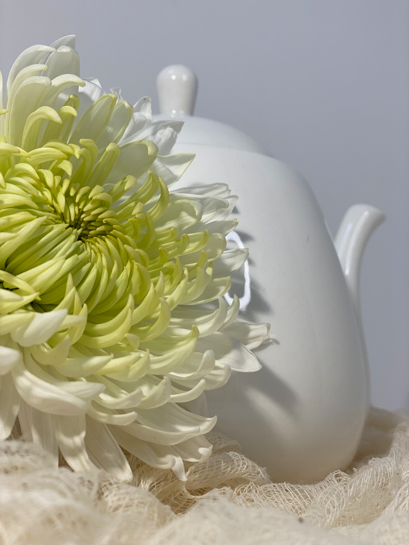 White Porcelain Round 4 cup Teapot OptimumZeal.com